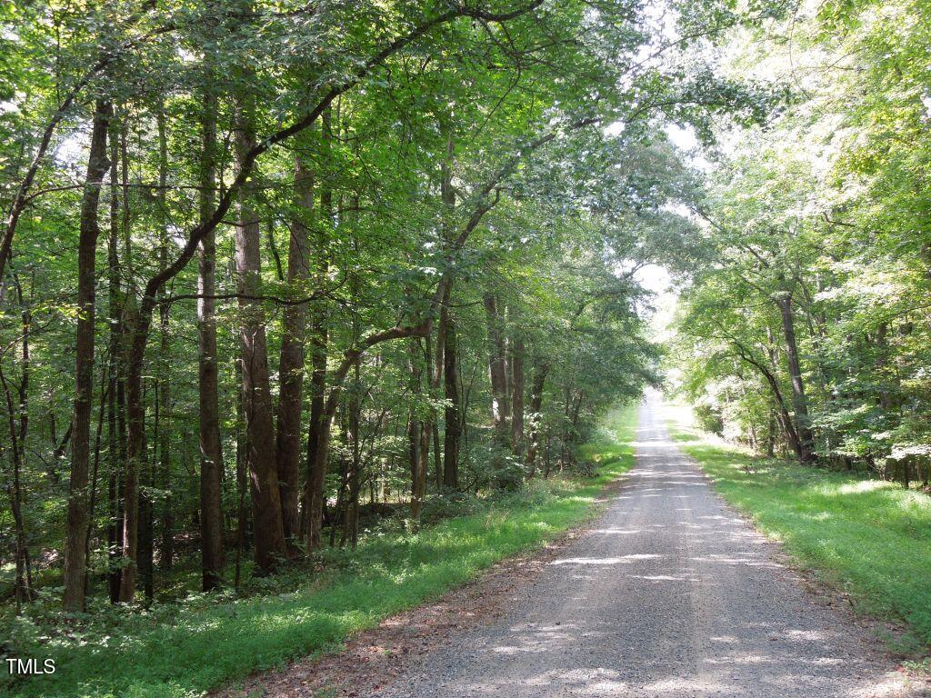0 Noel Tuck Road Oxford, NC 27565 - Photo 15 of 18 a view of road with trees