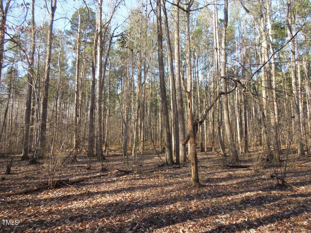 0 Noel Tuck Road Oxford, NC 27565 - Photo 17 of 18 a view of outdoor space with wooden fence
