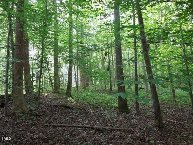 a big yard with lots of green space and trees