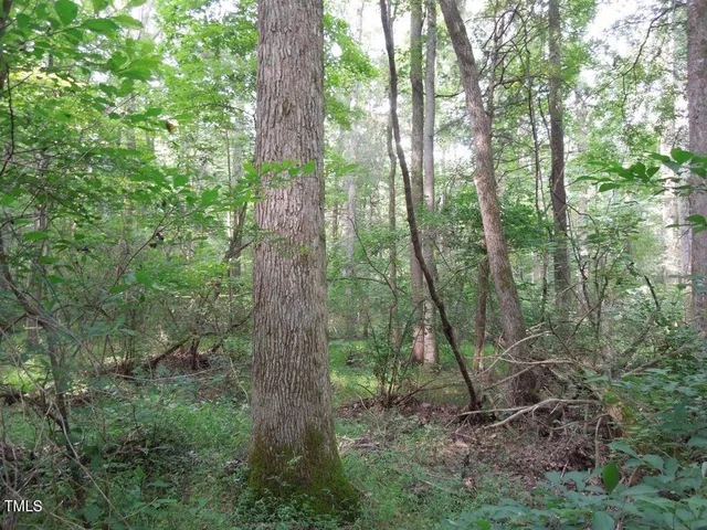 a backyard of a house with lots of green space and filled with trees