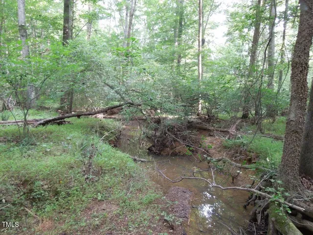 a view of a forest with trees