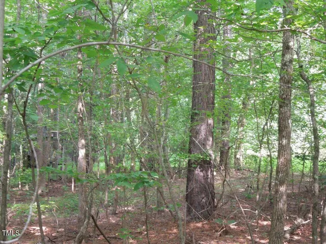 a backyard of a house with lots of green space and a fountain