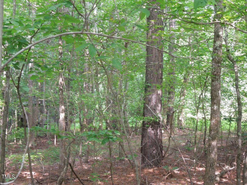 0 Noel Tuck Road Oxford, NC 27565 - Photo 9 of 18 a backyard of a house with lots of green space and a fountain
