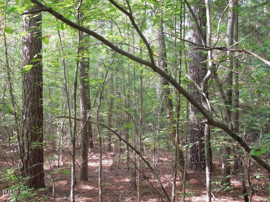 0 Noel Tuck Road Oxford, NC 27565 - Photo 10 of 18 a view of forest