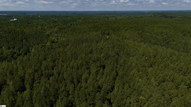 $1,715,000 | 0 South S Highway, Waterloo, SC 29384