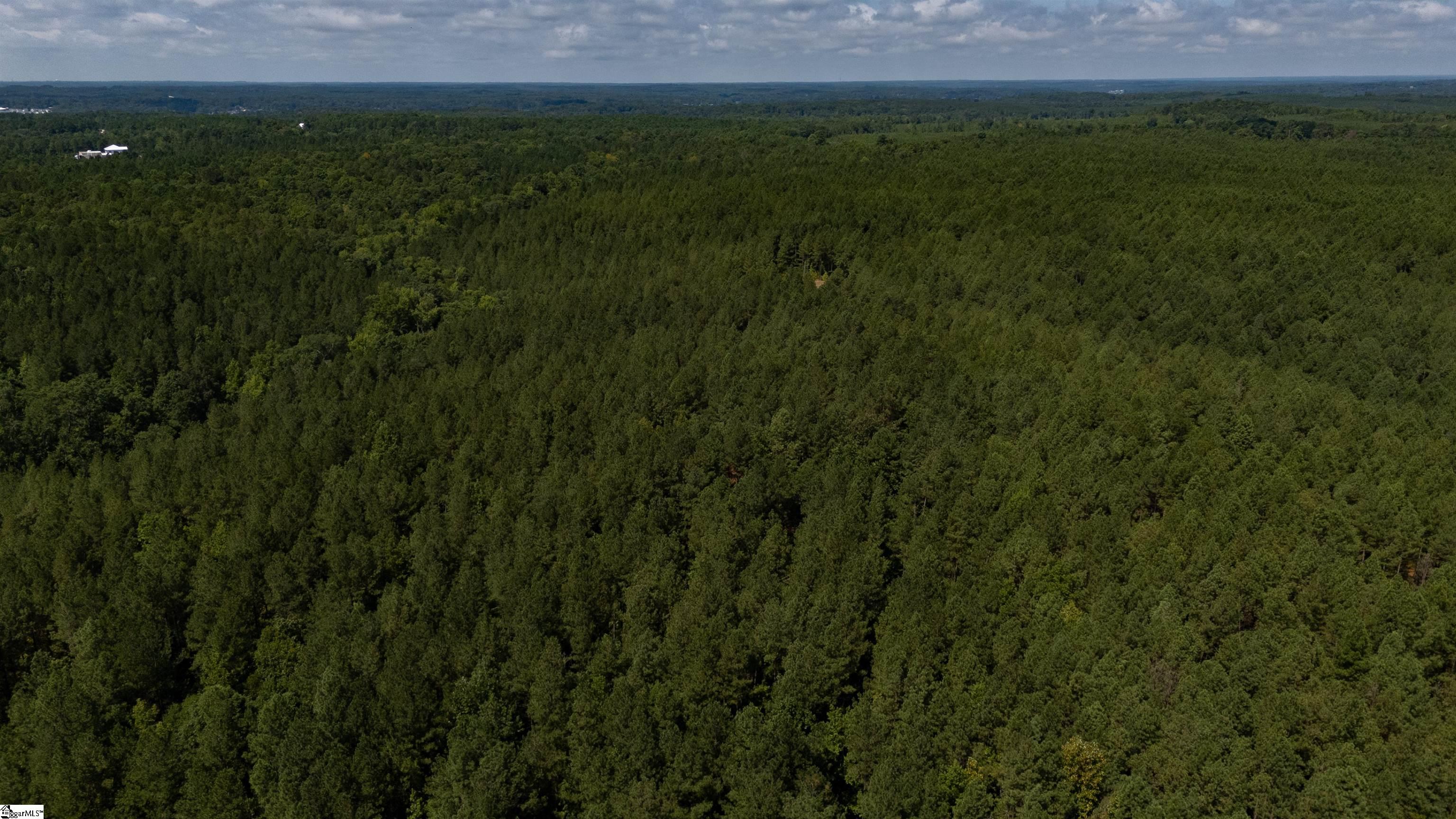 0 South S Highway Waterloo, SC 29384 - Photo 11 of 14