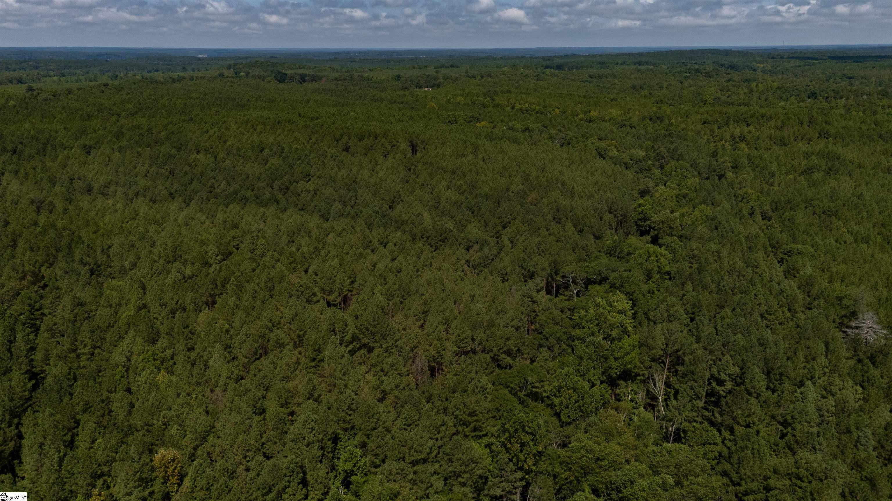 0 South S Highway Waterloo, SC 29384 - Photo 12 of 14