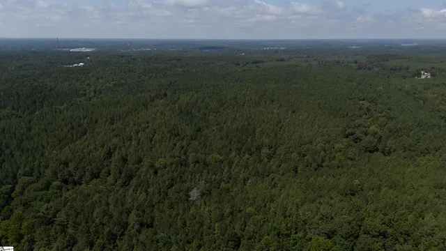 $1,715,000 | 0 South S Highway, Waterloo, SC 29384