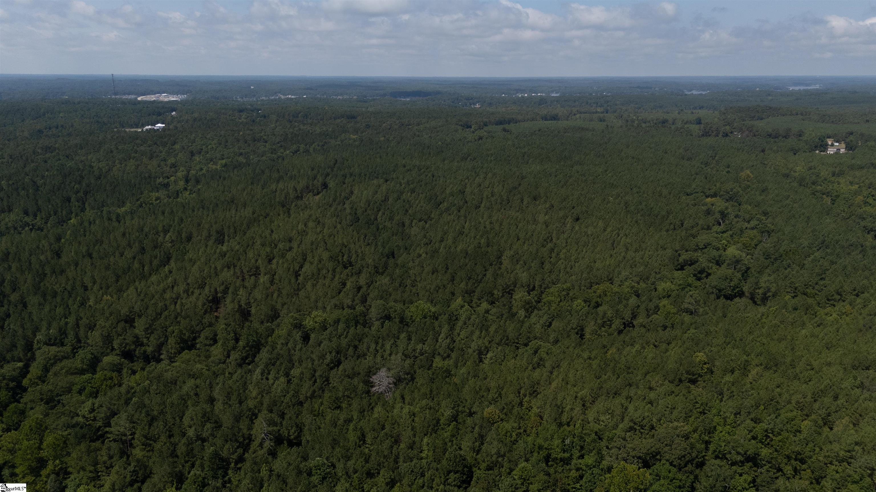 0 South S Highway Waterloo, SC 29384 - Photo 14 of 14