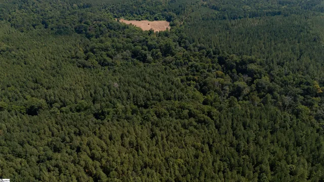 $1,715,000 | 0 South S Highway, Waterloo, SC 29384