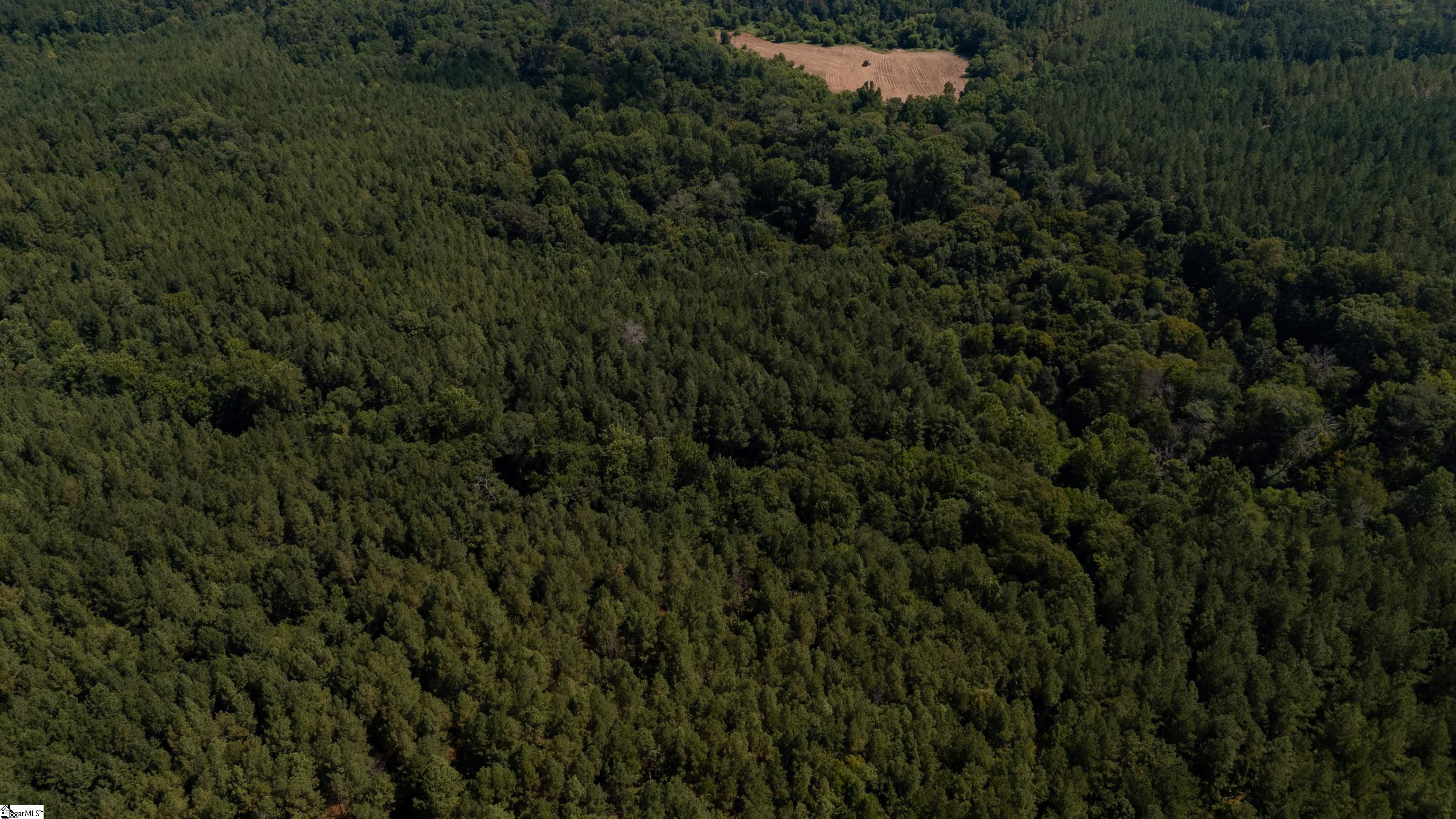 0 South S Highway Waterloo, SC 29384 - Photo 4 of 14