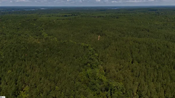 $1,487,500 | 0 South S Highway, Waterloo, SC 29384