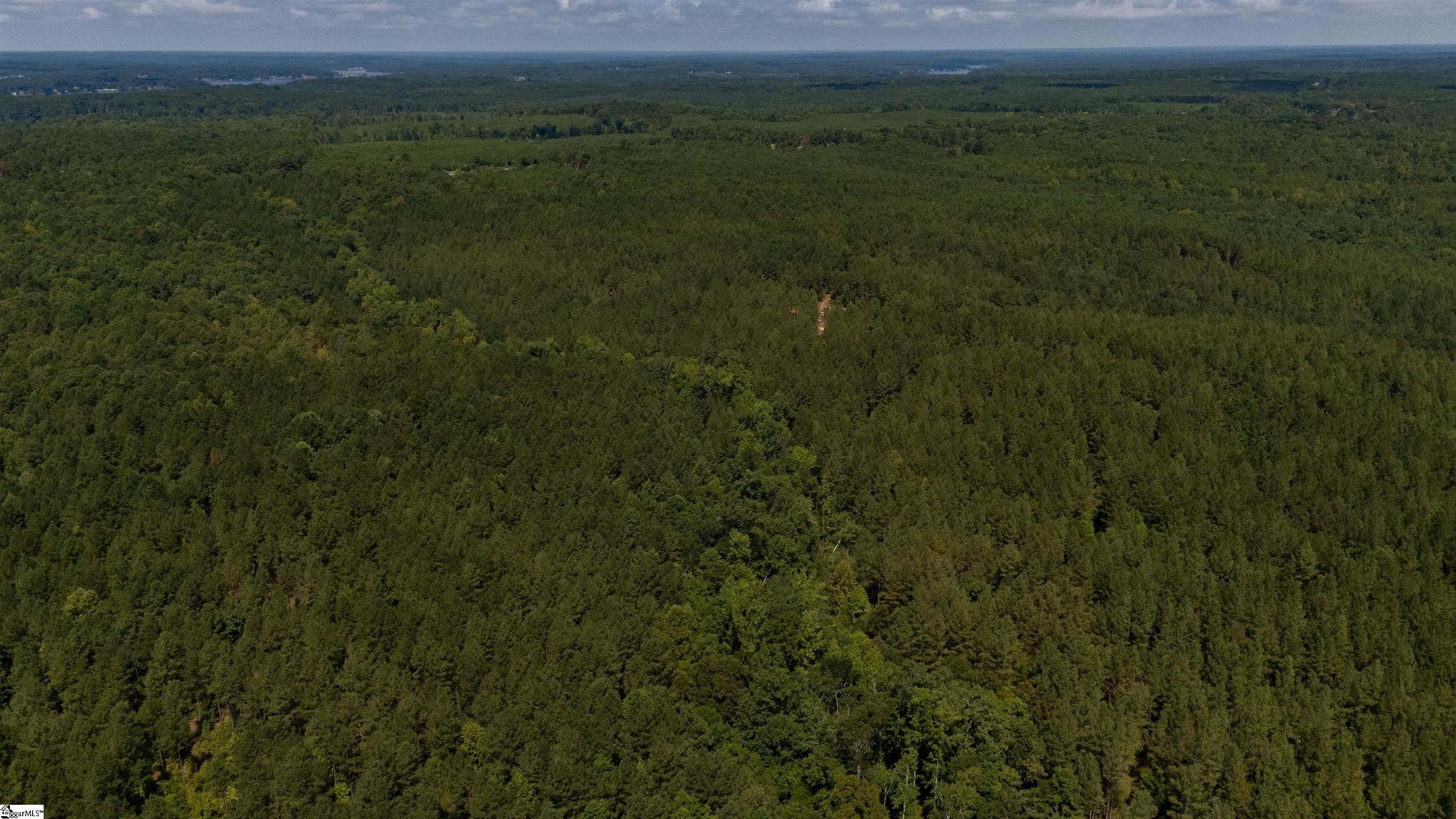 0 South S Highway Waterloo, SC 29384 - Photo 5 of 14