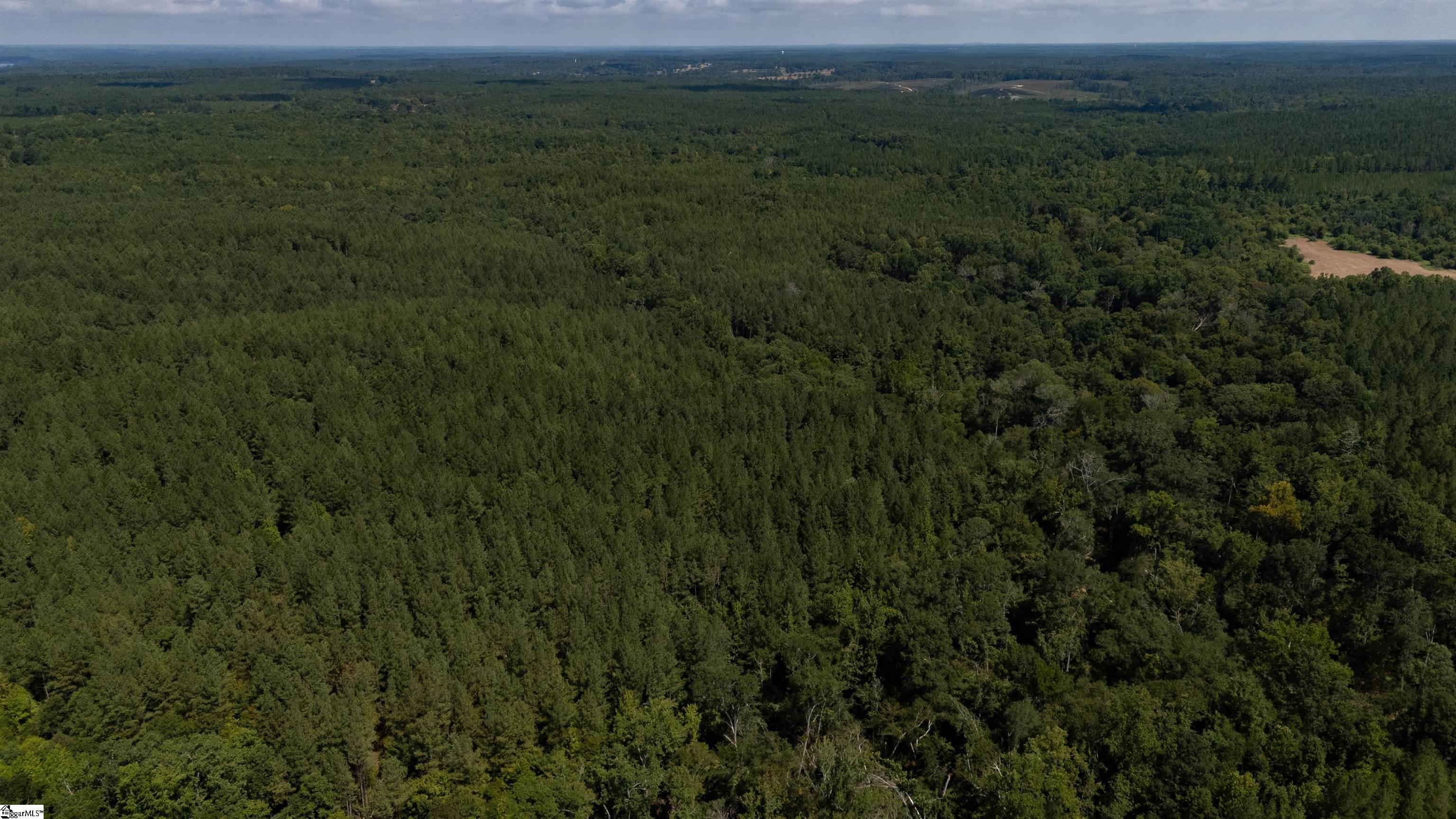 0 South S Highway Waterloo, SC 29384 - Photo 6 of 14