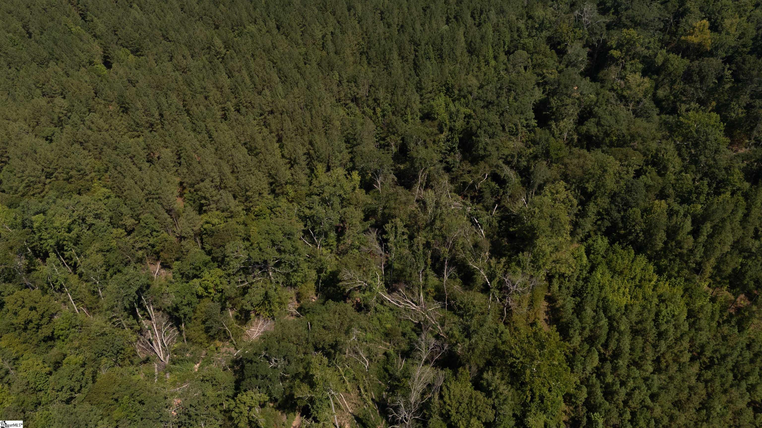 0 South S Highway Waterloo, SC 29384 - Photo 7 of 14