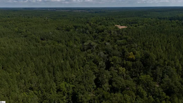 $1,487,500 | 0 South S Highway, Waterloo, SC 29384