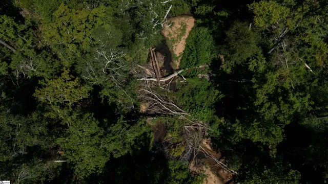 $1,715,000 | 0 South S Highway, Waterloo, SC 29384