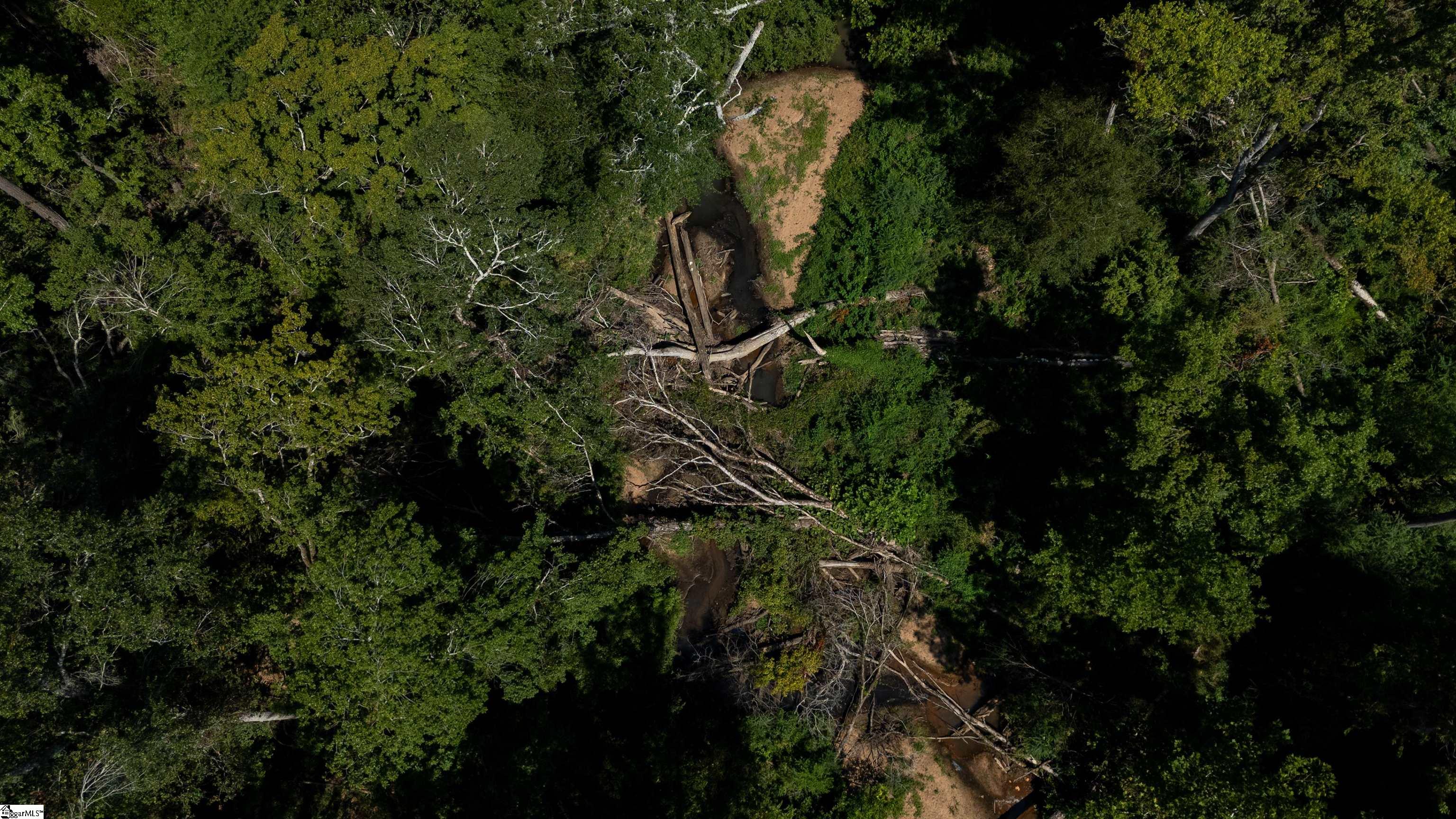 0 South S Highway Waterloo, SC 29384 - Photo 9 of 14