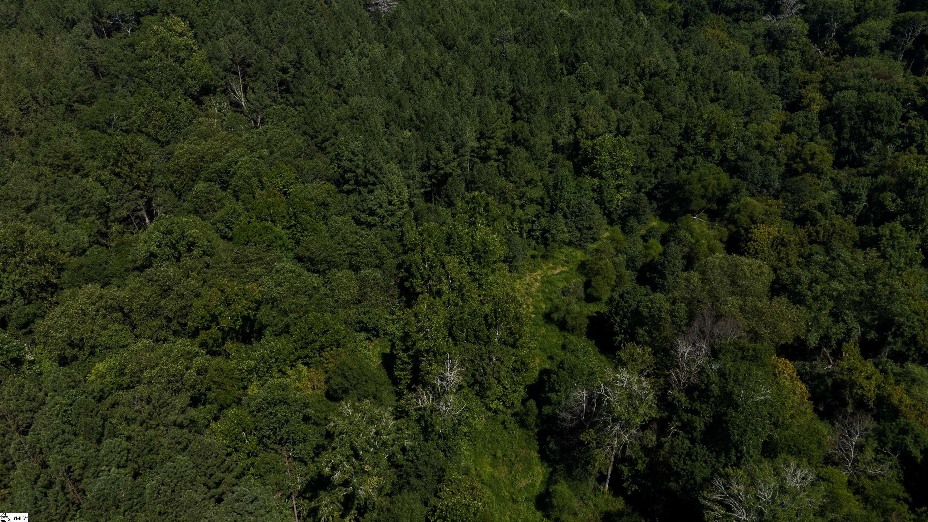 0 South S Highway Waterloo, SC 29384 - Photo 10 of 14