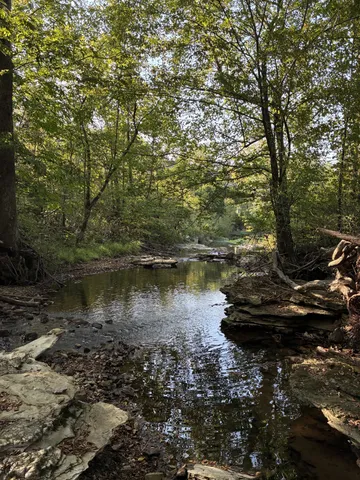 a view of a lake with houses