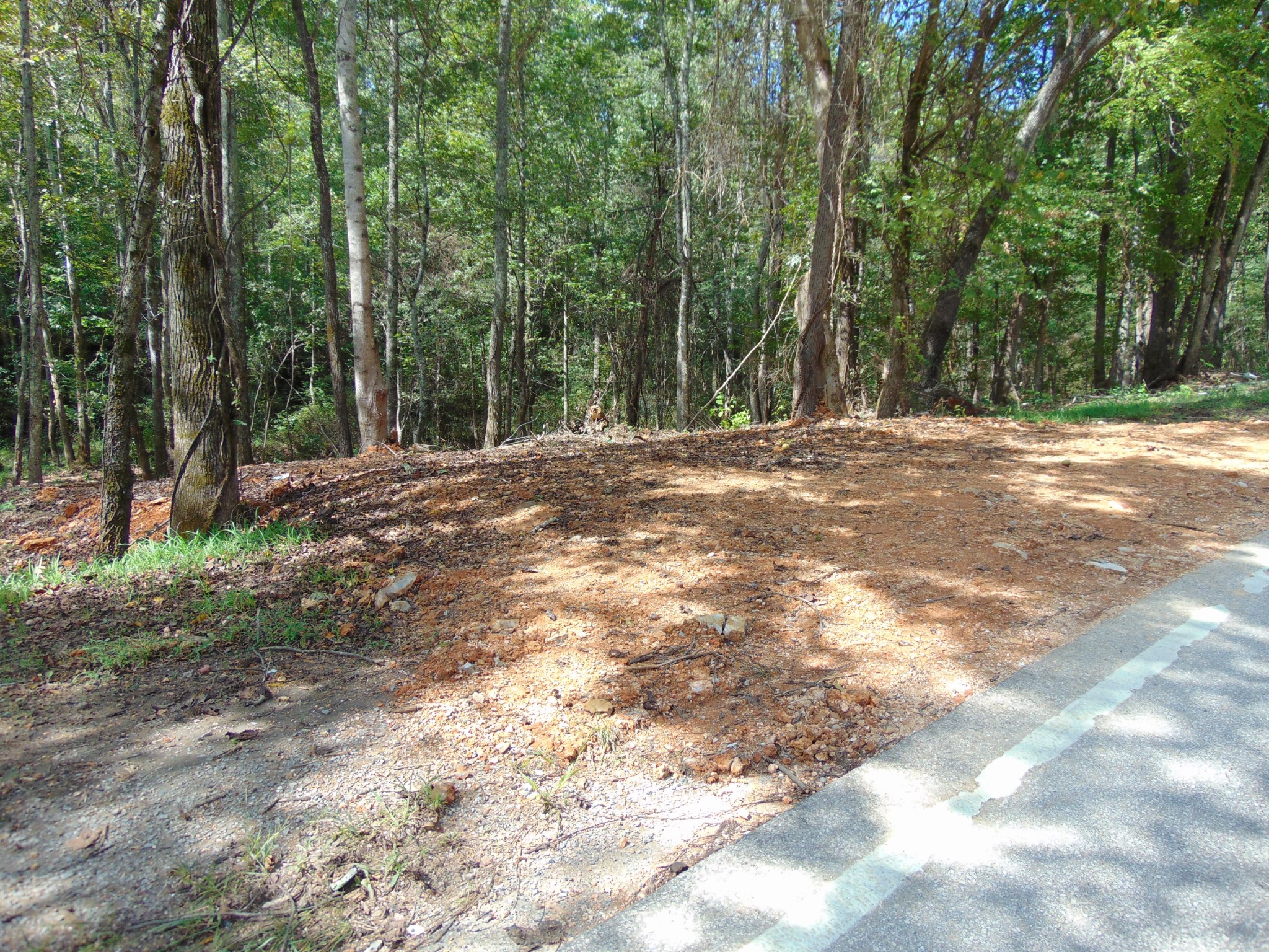 35 Alexander Springs Road Ethridge, TN 38456 - Photo 7 of 13 a view of a yard with large trees