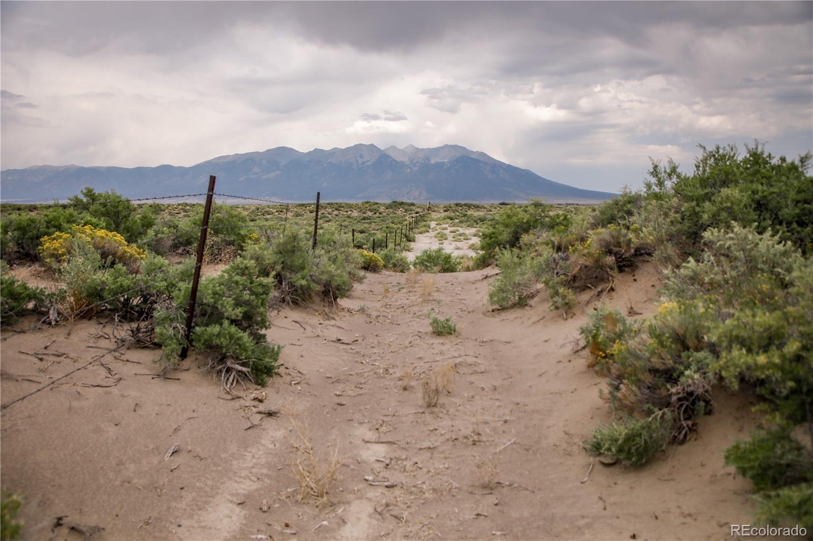 16339 13 Street Mosca, CO 81146 - Photo 47 of 49 a view of a back yard