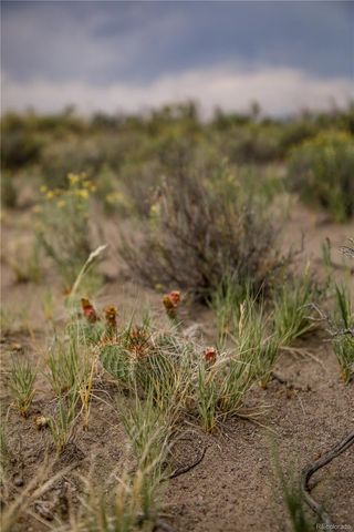 $120,000 | 16339 13 Street, Mosca, CO 81146