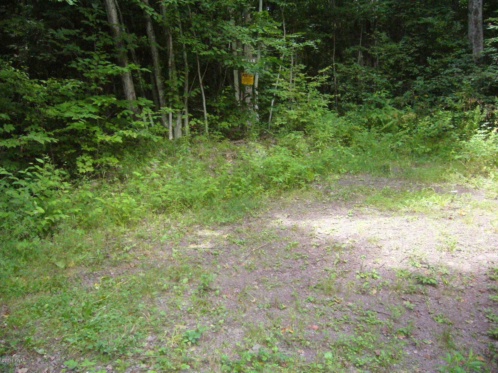 Willoway Road Starlight, PA 18461 - Photo 6 of 9