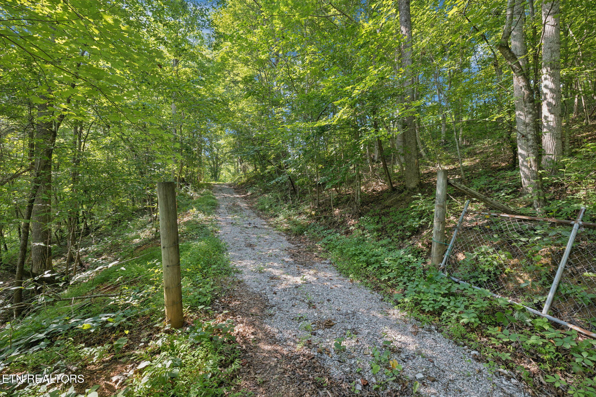 378 Johnson Hollow Road New Tazewell, TN 37825 - Photo 12 of 12 378 Johnson Hollow