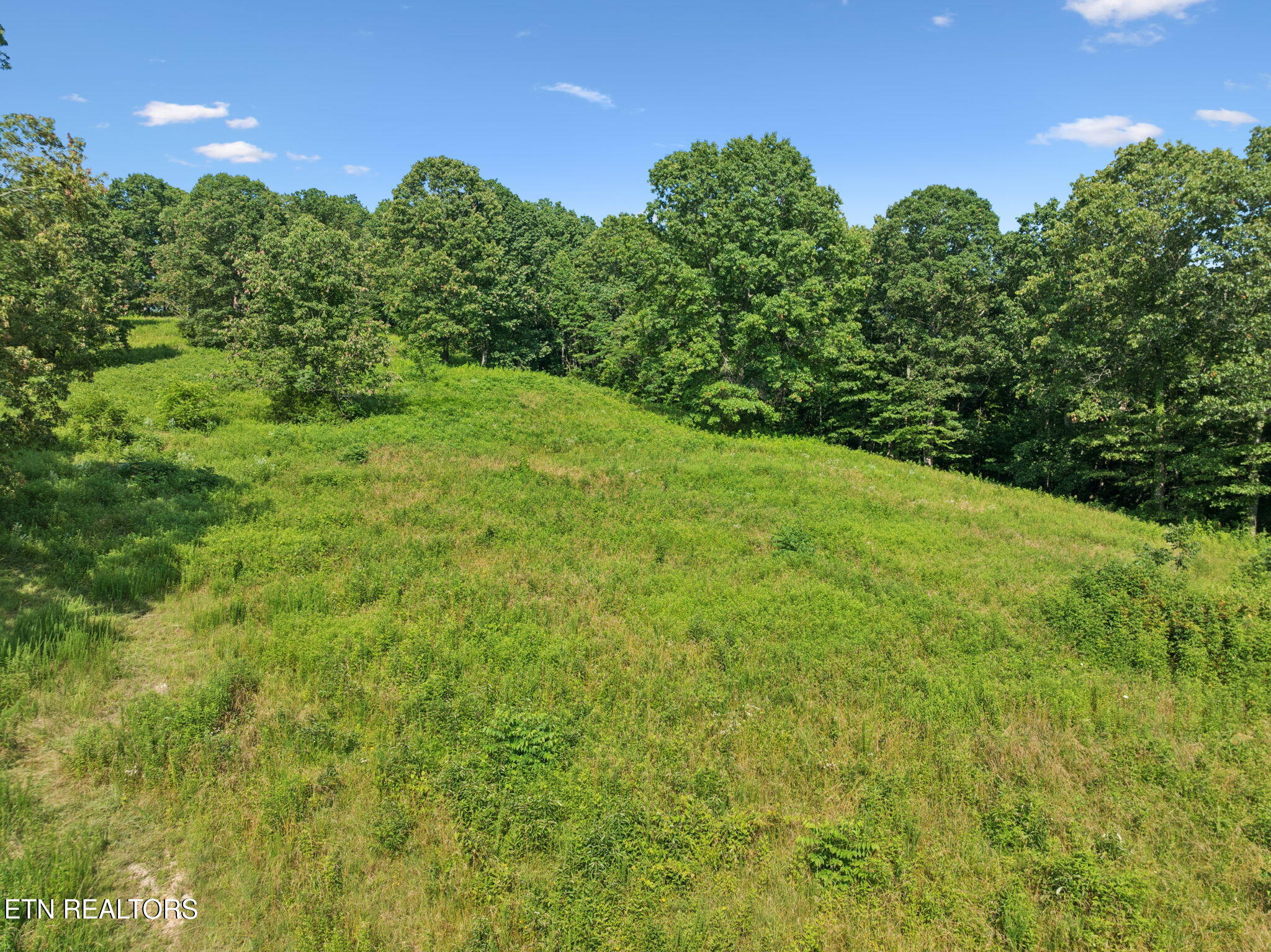 378 Johnson Hollow Road New Tazewell, TN 37825 - Photo 2 of 12 Top of Driveway