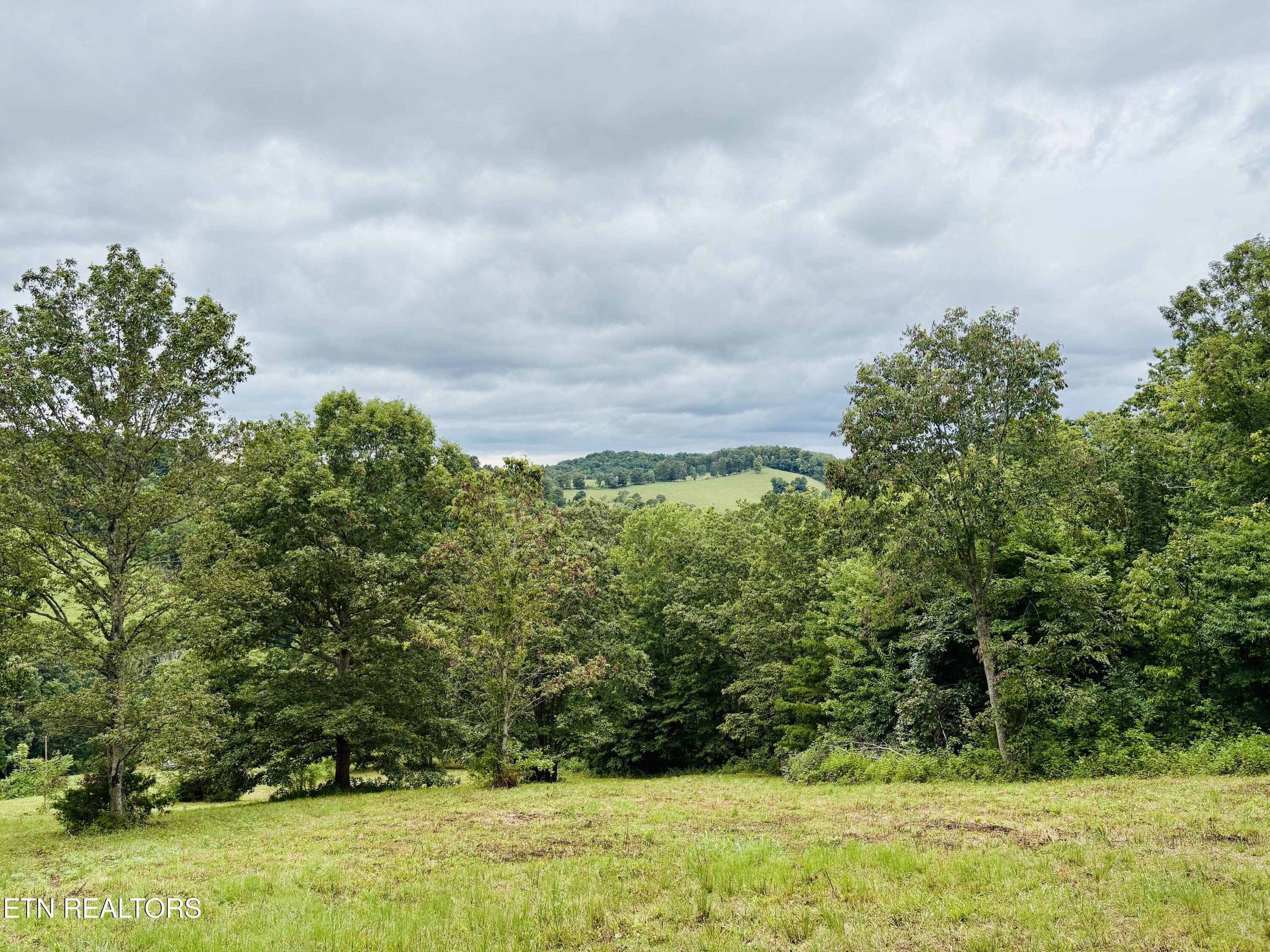 378 Johnson Hollow Road New Tazewell, TN 37825 - Photo 5 of 12 378 Johnson Hollow