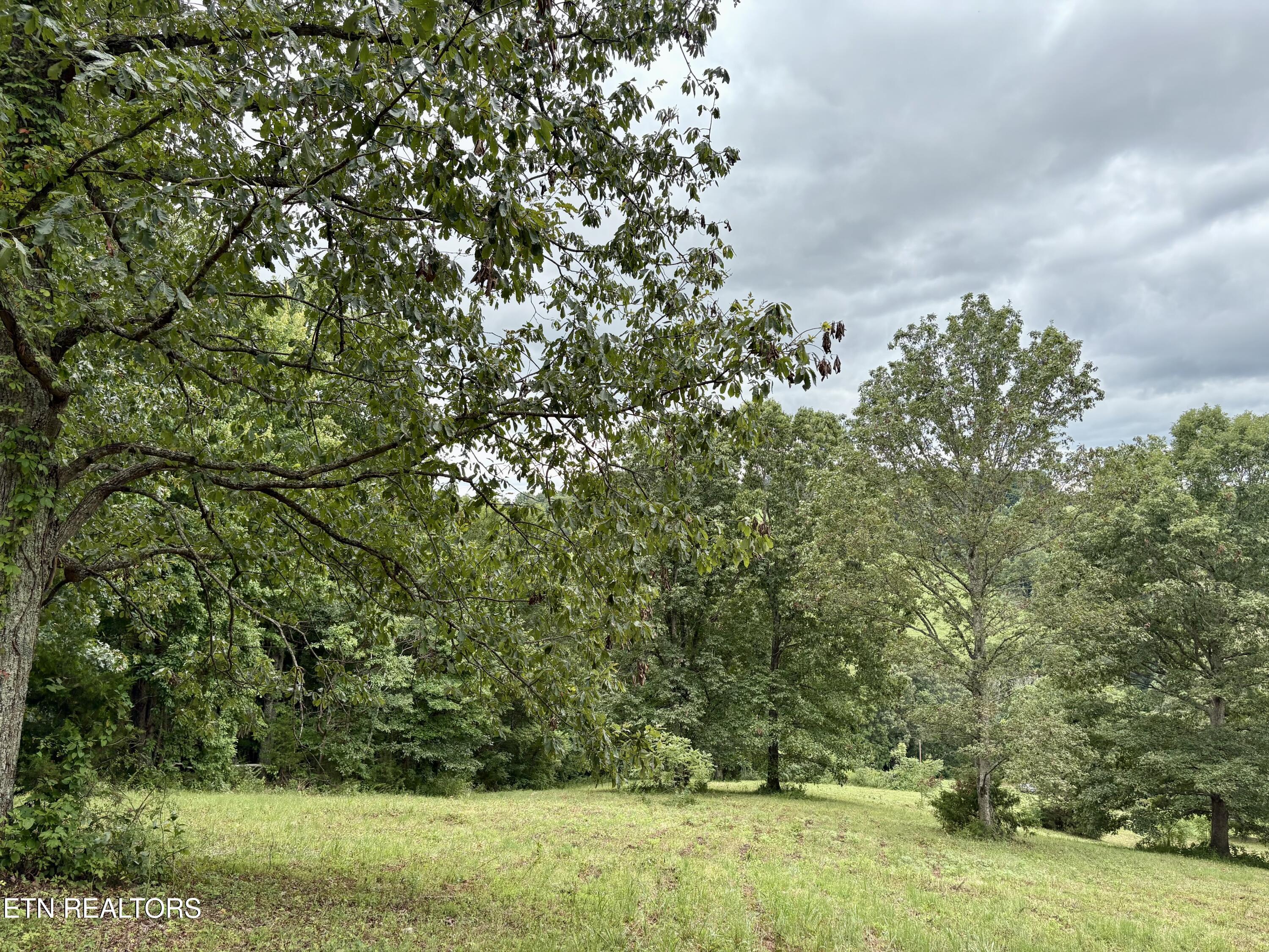378 Johnson Hollow Road New Tazewell, TN 37825 - Photo 6 of 12 378 Johnson Hollow