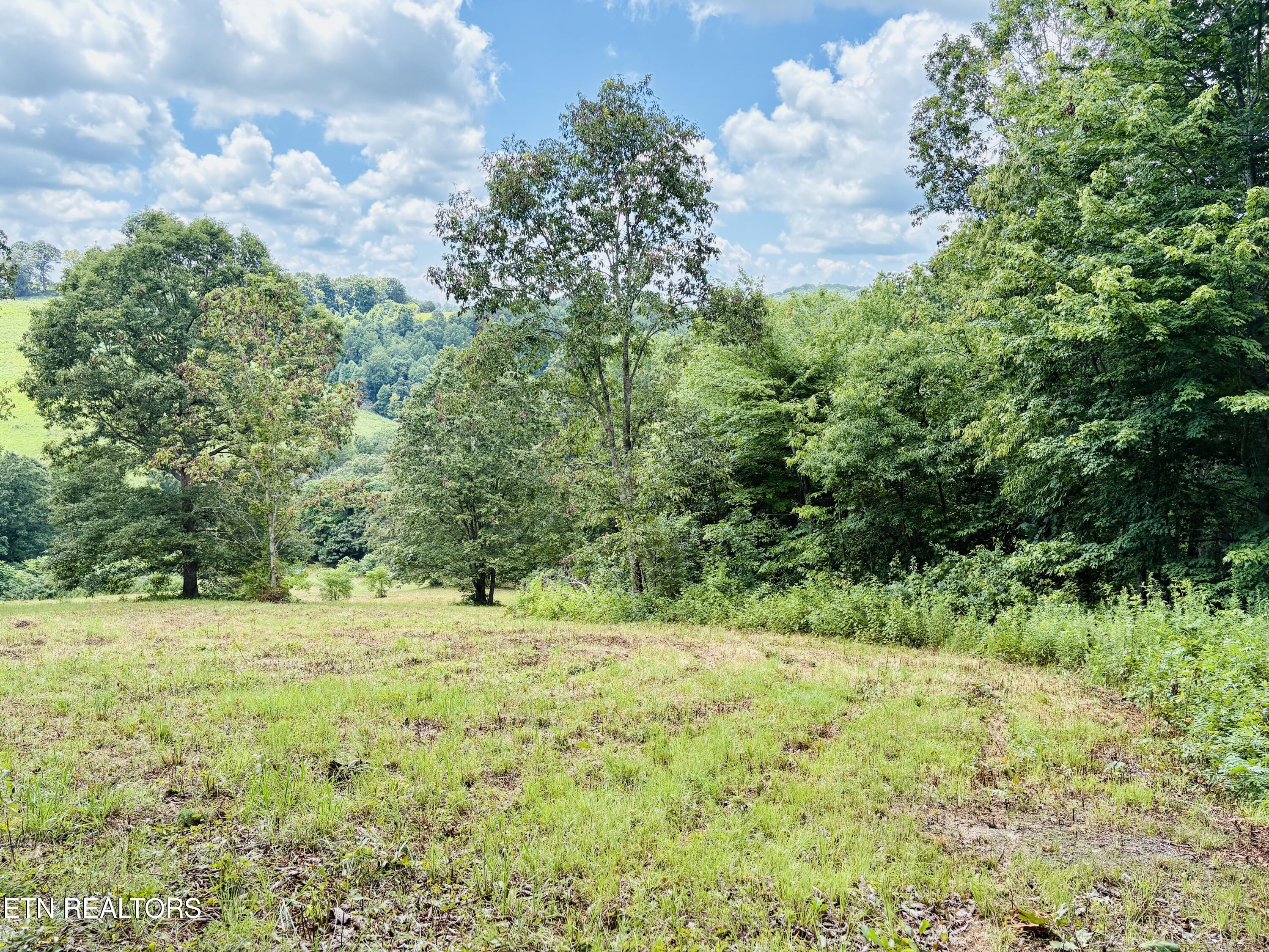 378 Johnson Hollow Road New Tazewell, TN 37825 - Photo 7 of 12 378 JOHNSON HOLLOW