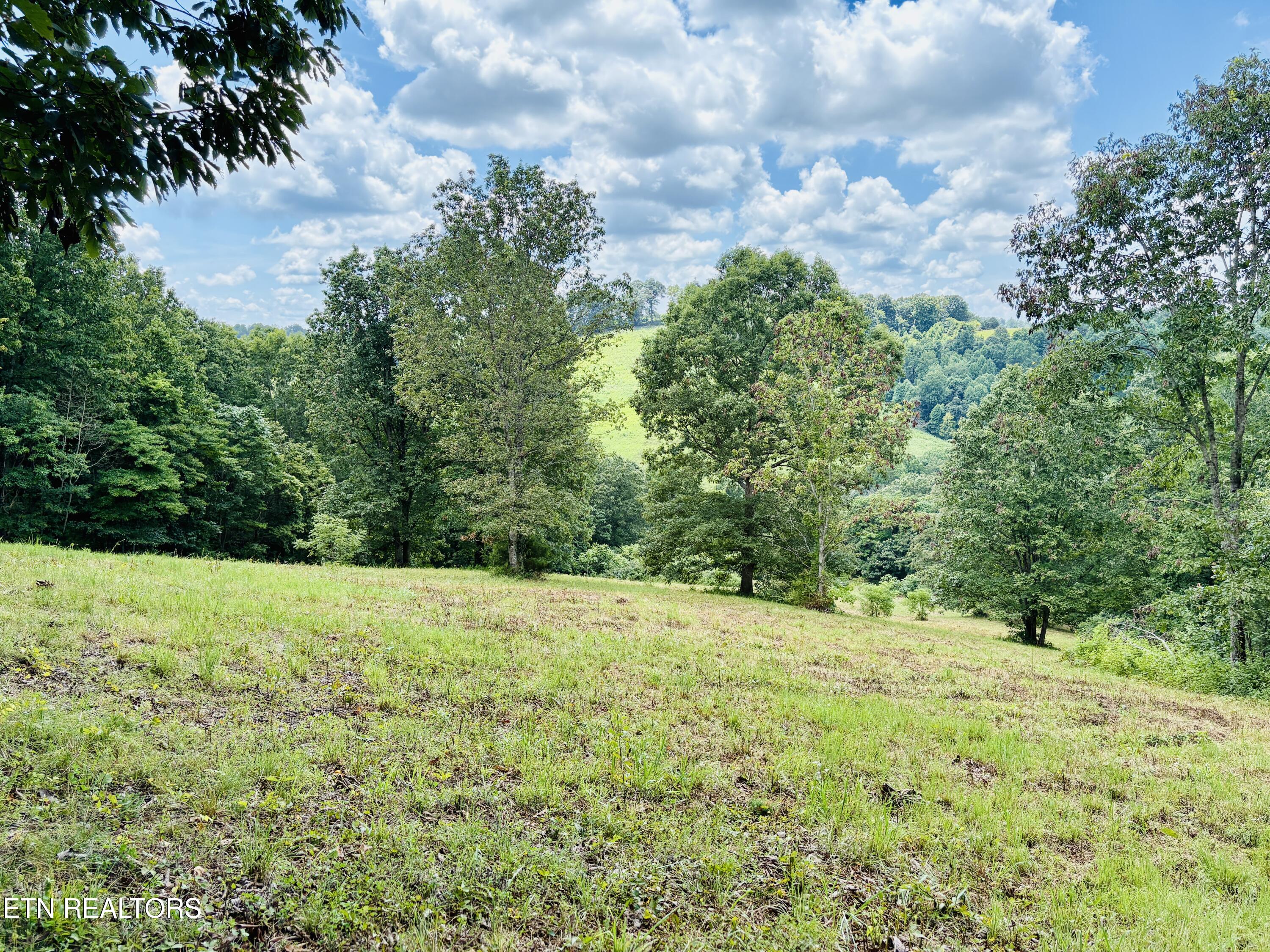378 Johnson Hollow Road New Tazewell, TN 37825 - Photo 8 of 12 378 Johnson Hollow