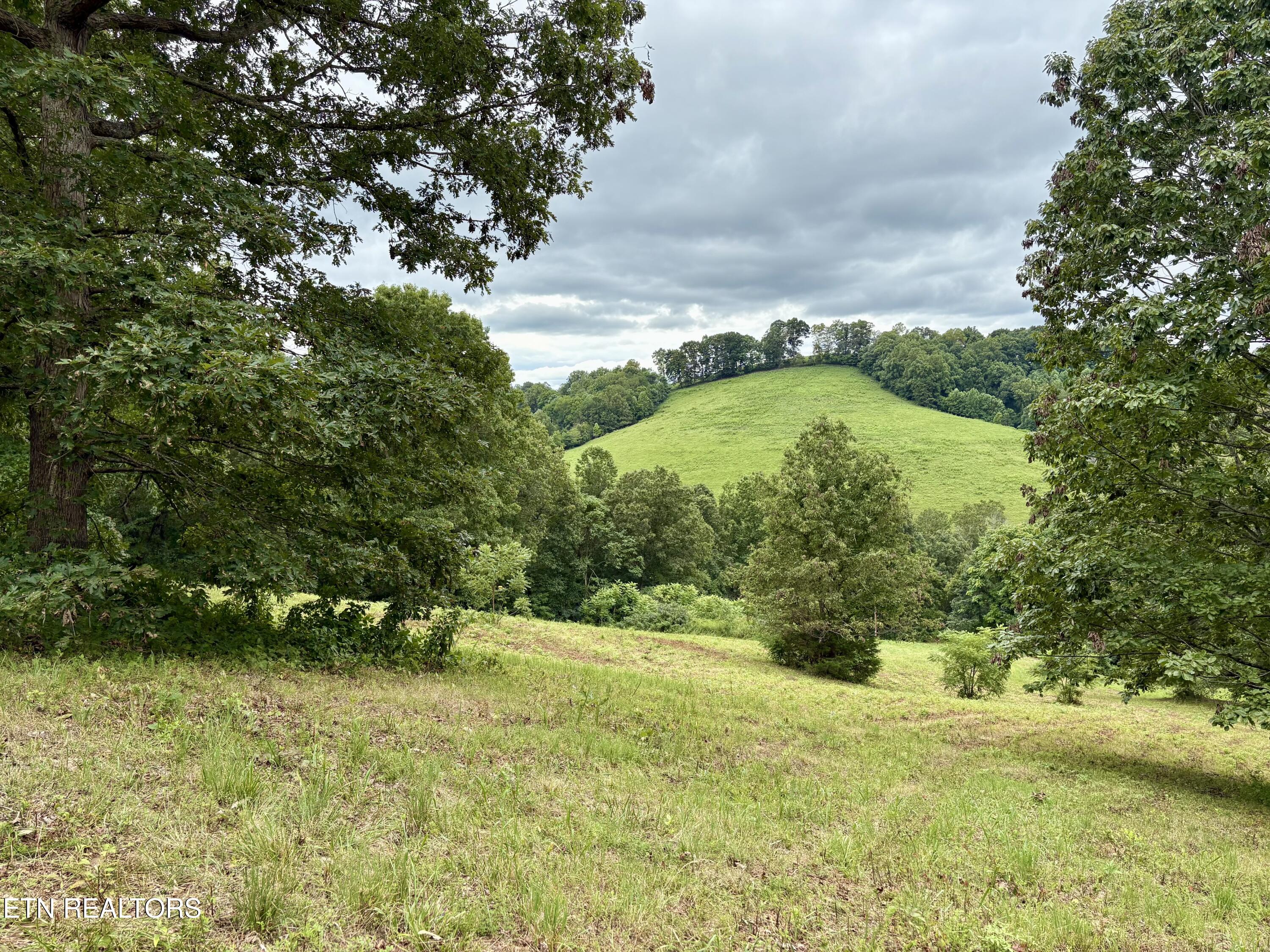 378 Johnson Hollow Road New Tazewell, TN 37825 - Photo 9 of 12 378 Johnson Hollow