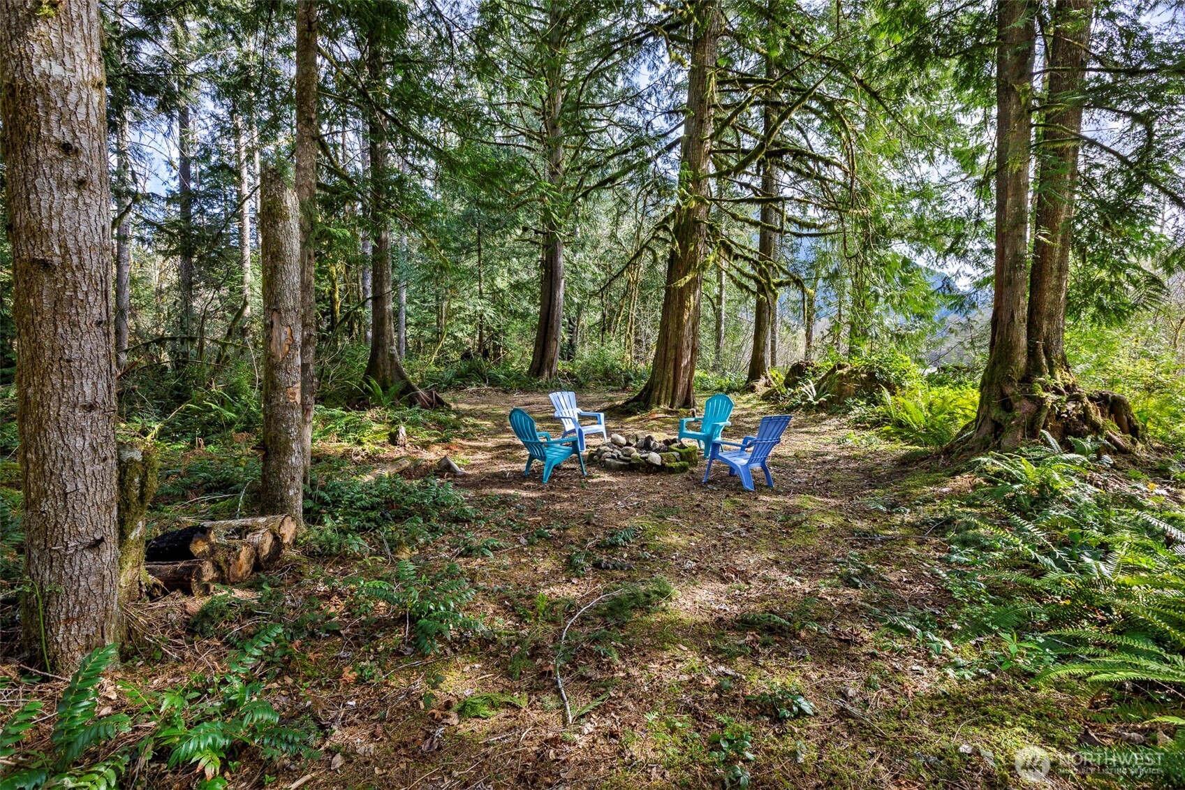 -xx Cascade River Road Marblemount, WA 98267 - Photo 6 of 17