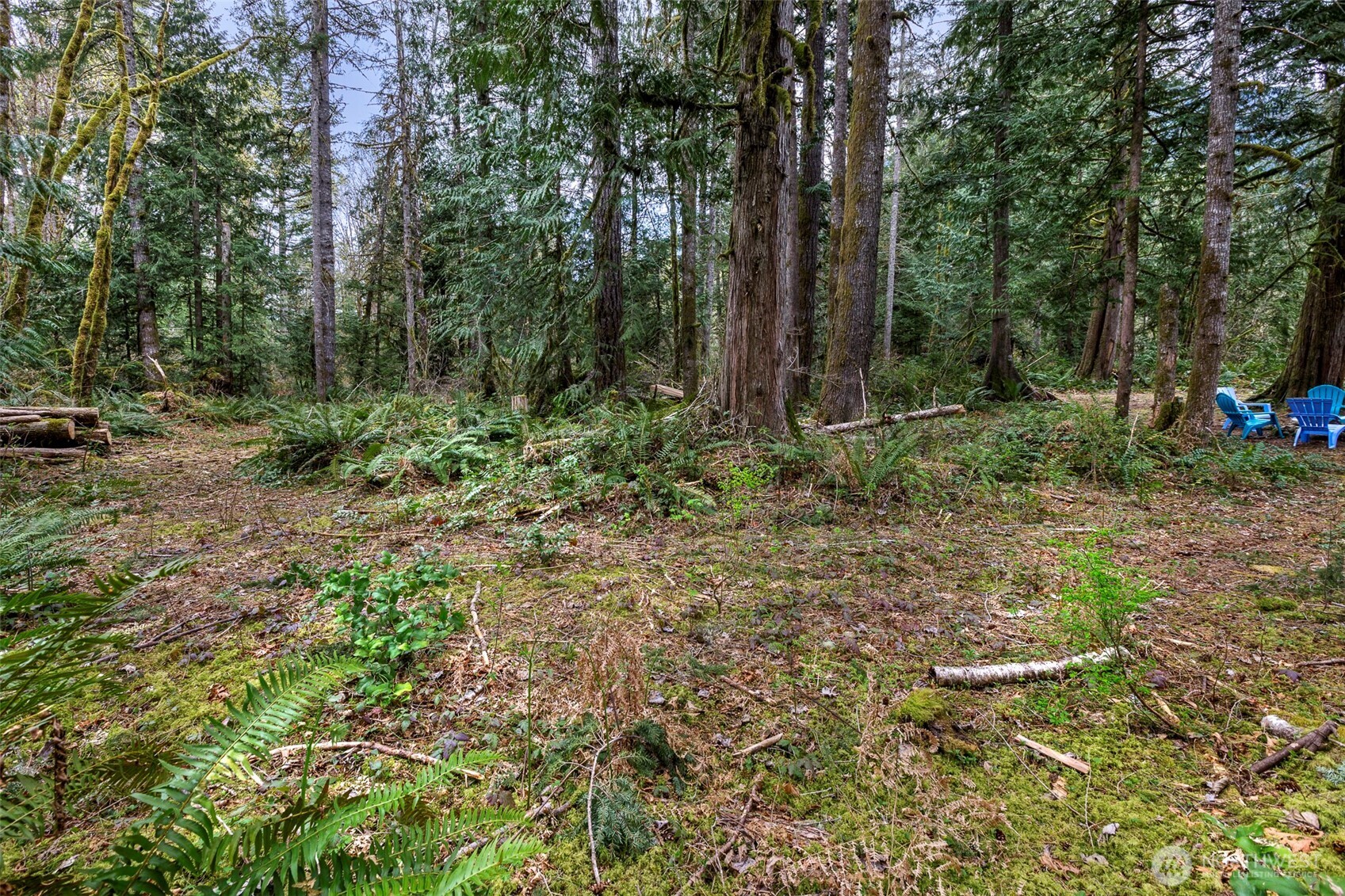 -xx Cascade River Road Marblemount, WA 98267 - Photo 7 of 17