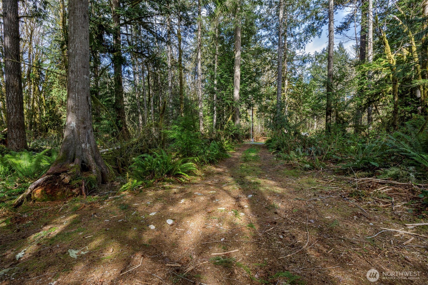 -xx Cascade River Road Marblemount, WA 98267 - Photo 9 of 17