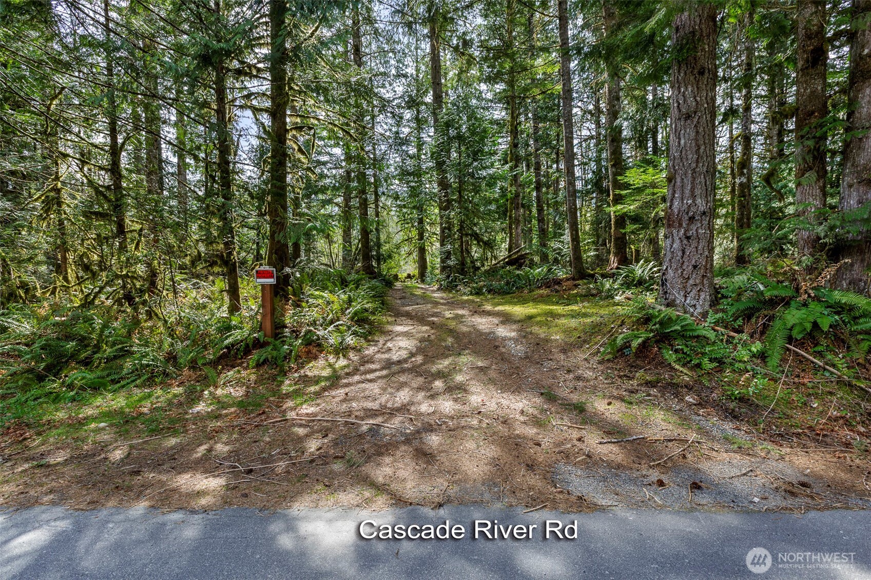 -xx Cascade River Road Marblemount, WA 98267 - Photo 10 of 17