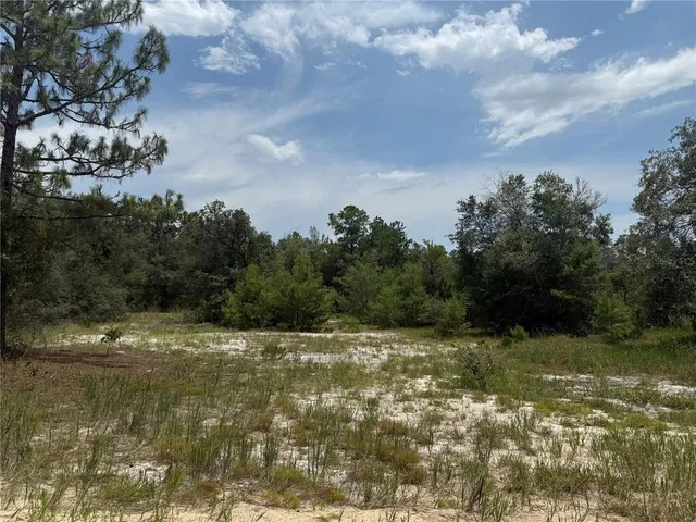 a view of swimming pool with a yard