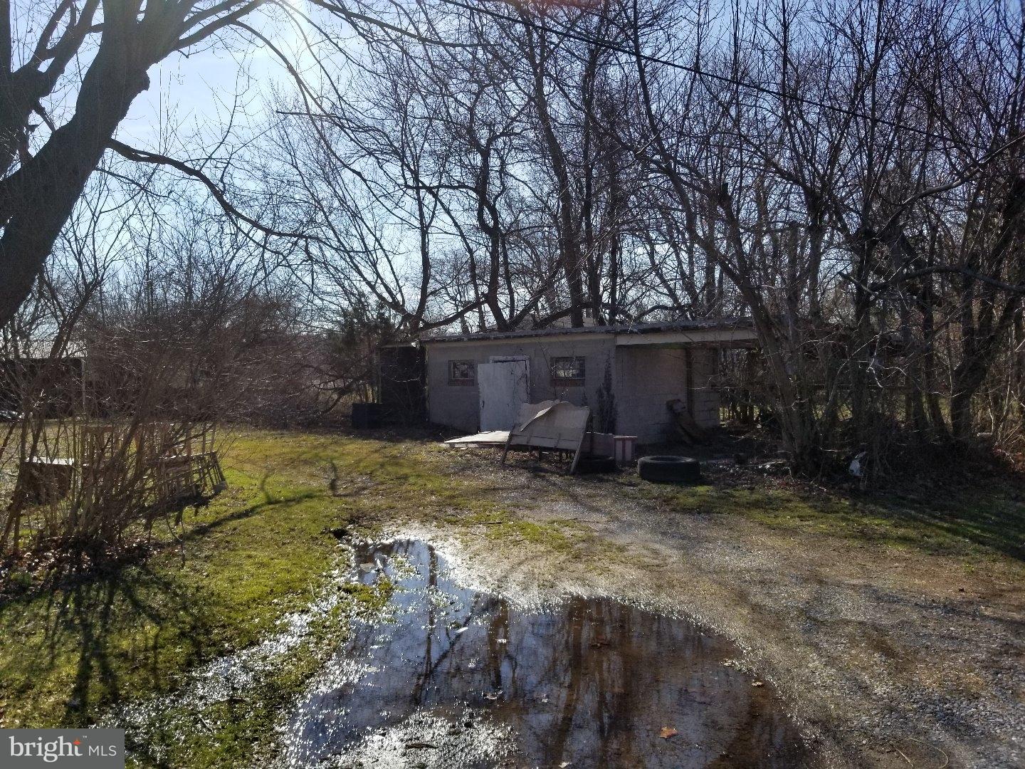 8100 Calhoun Road Milford, DE 19963 - Photo 22 of 23 Driveway