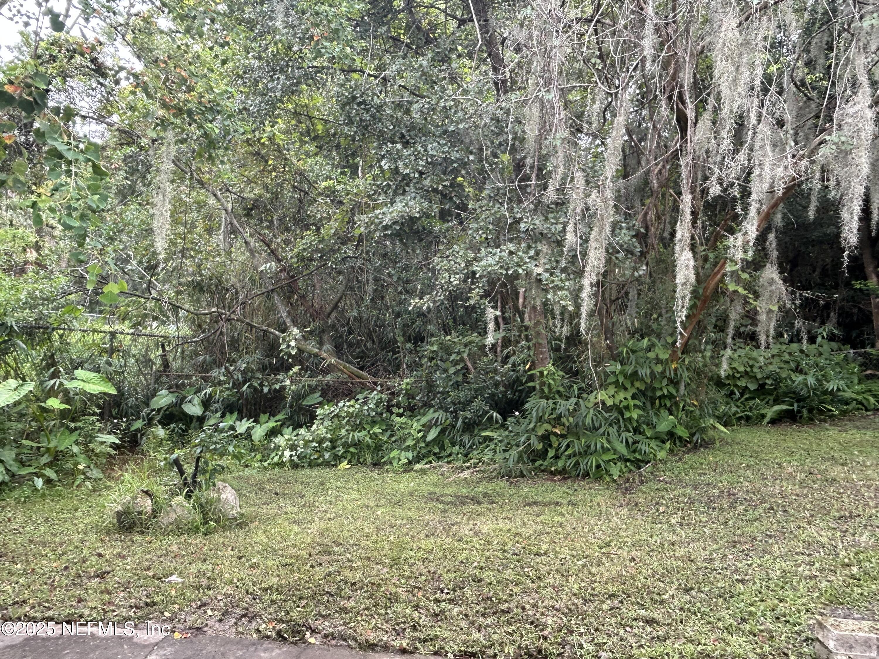 3173 St Augustine Road Jacksonville, FL 32207 - Photo 14 of 19 a view of a yard with plants and large trees