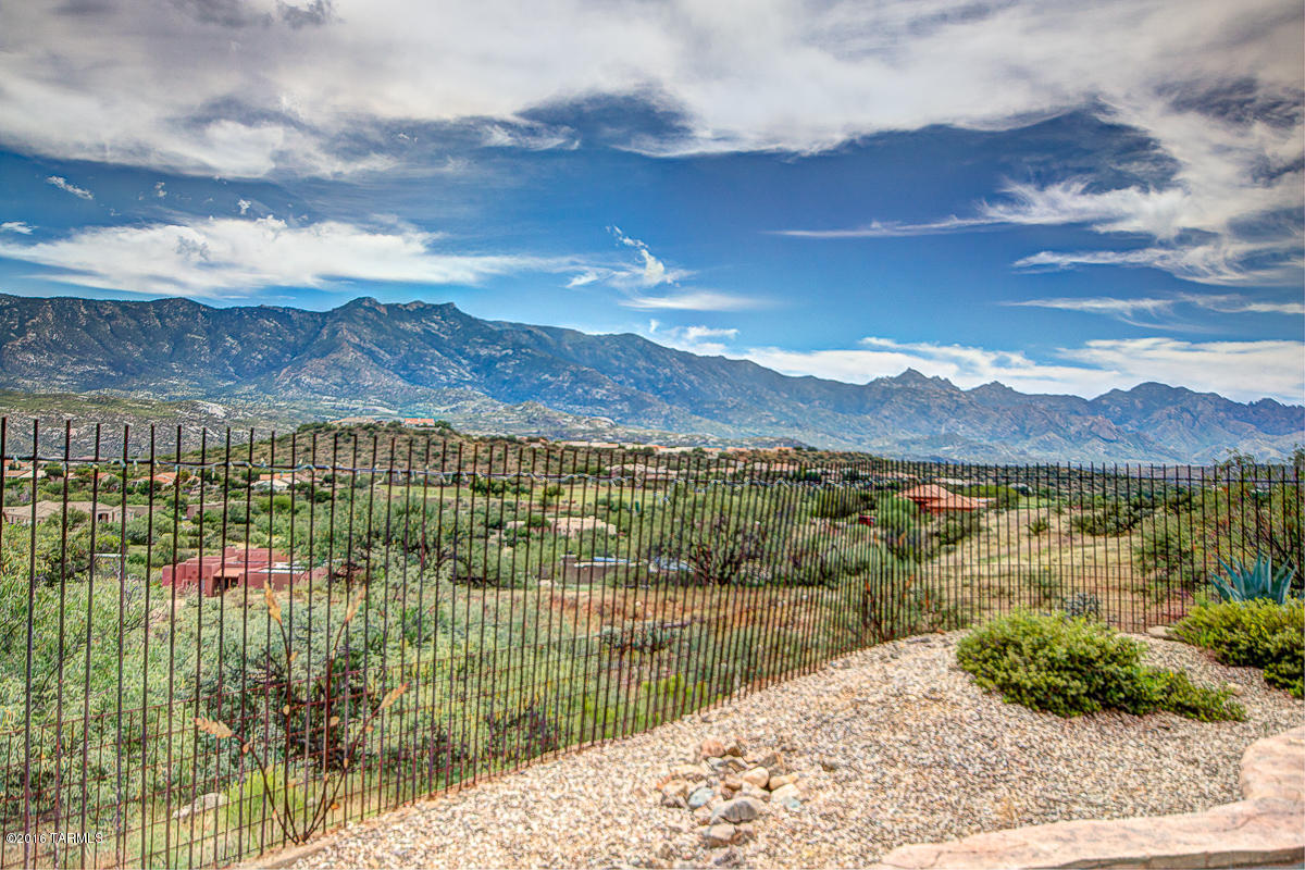 36435 South Lexi Way Tucson, AZ 85739 - Photo 45 of 50