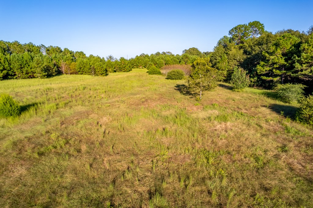 2226 Randall Wade Road Headland, AL 36345 - Photo 54 of 60