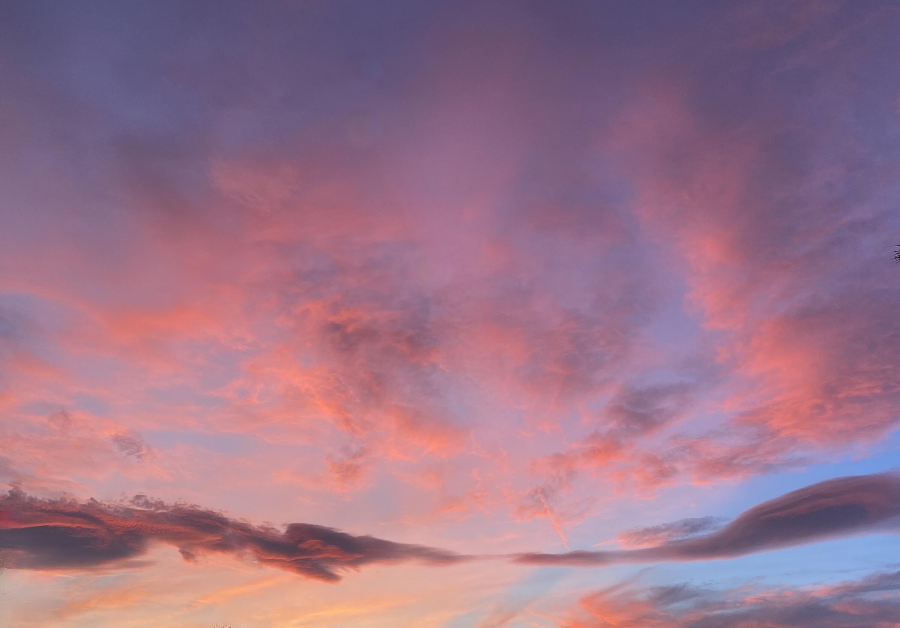 81451 Corte Pipilla Indio, CA 92203 - Photo 13 of 38 IMG_1973