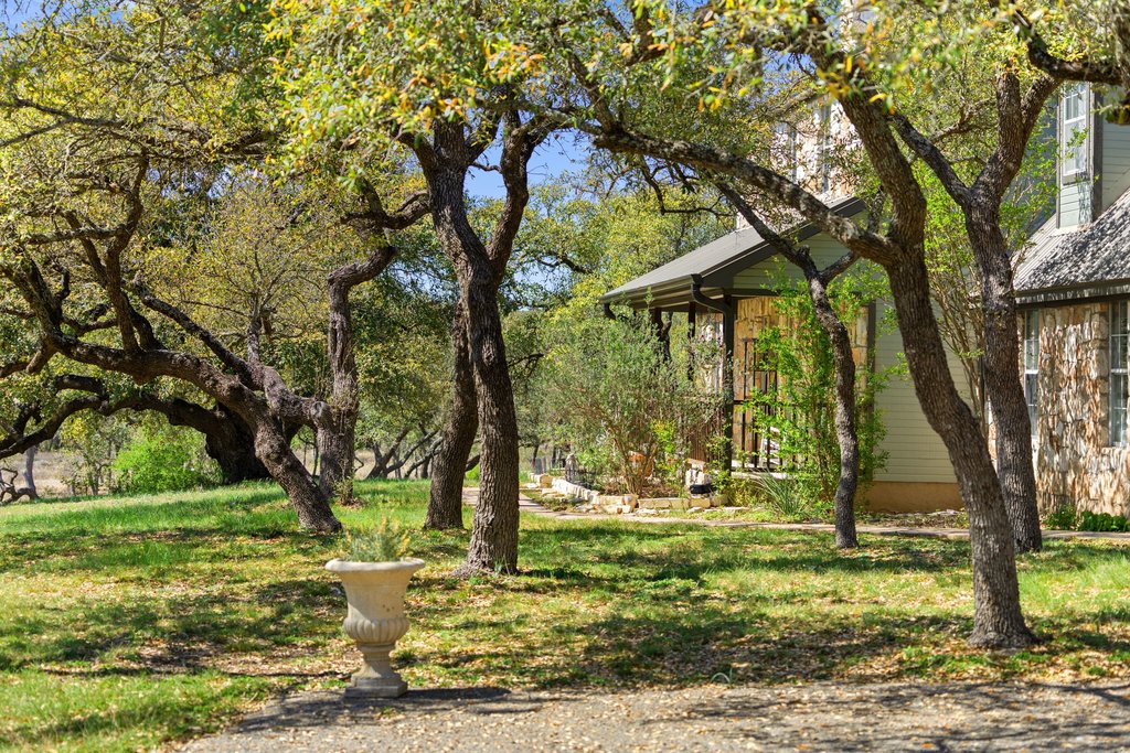 290 Sunset Ridge Dripping Springs, TX 78620 - Photo 2 of 36 Mature trees and natural landscaping create a serene approach to this elegant residence.