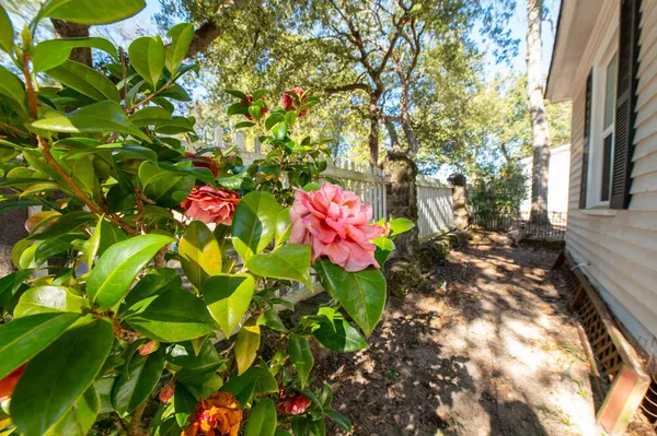 $949,900 | 424 Barnwell Avenue Northwest, Aiken, SC 29801