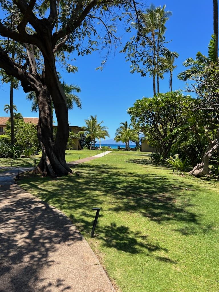 3559 Lower Honoapiilani Road, Unit 709 Lahaina, HI 96761 - Photo 41 of 49