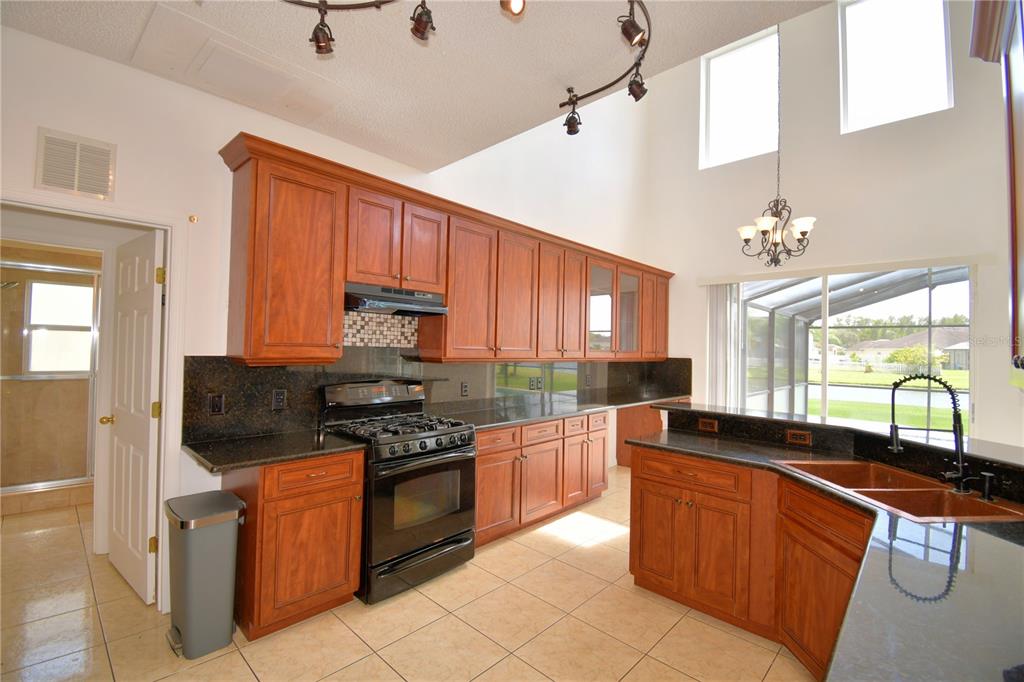 5368 Dahlia Reserve Drive Kissimmee, FL 34758 - Photo 19 of 83 a kitchen with stainless steel appliances granite countertop wooden cabinets a stove top oven a sink and dishwasher