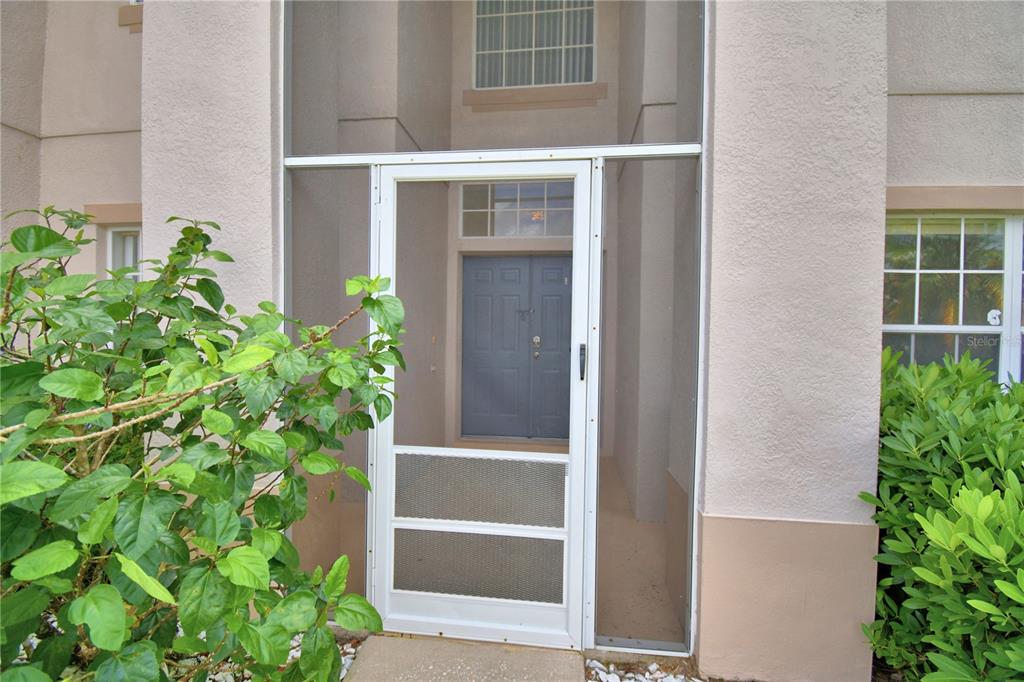 5368 Dahlia Reserve Drive Kissimmee, FL 34758 - Photo 4 of 83